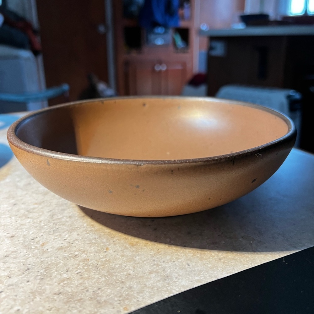 East Fork Everyday Bowl in retired Pinto